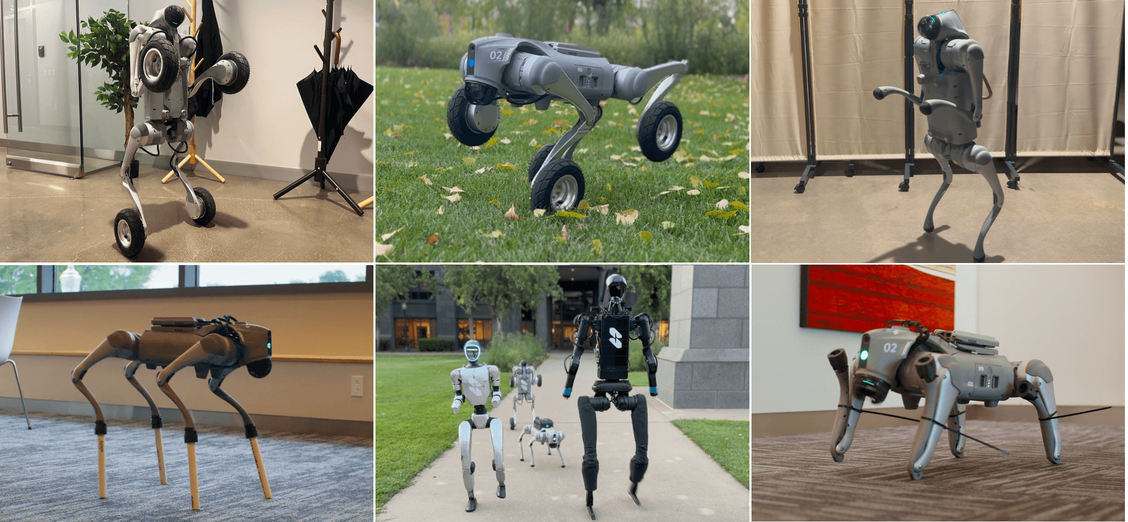 The case for an omni-bodied robot brain