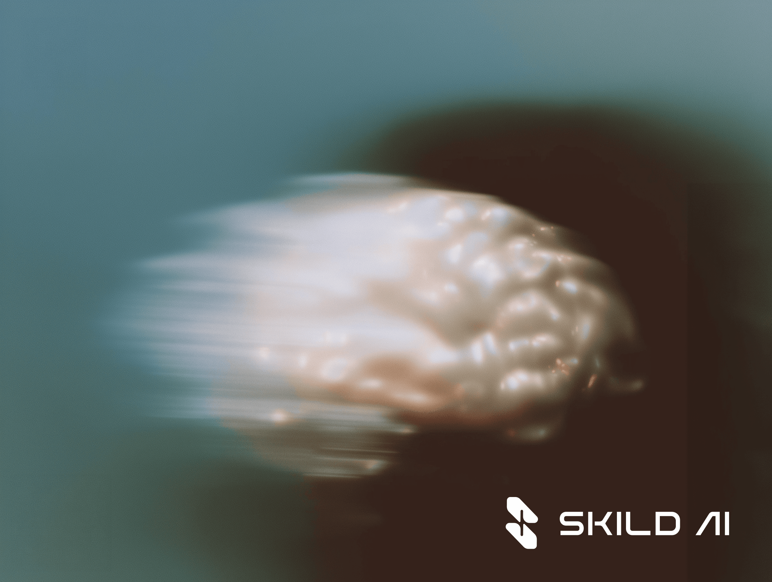 The case for an omni-bodied robot brain